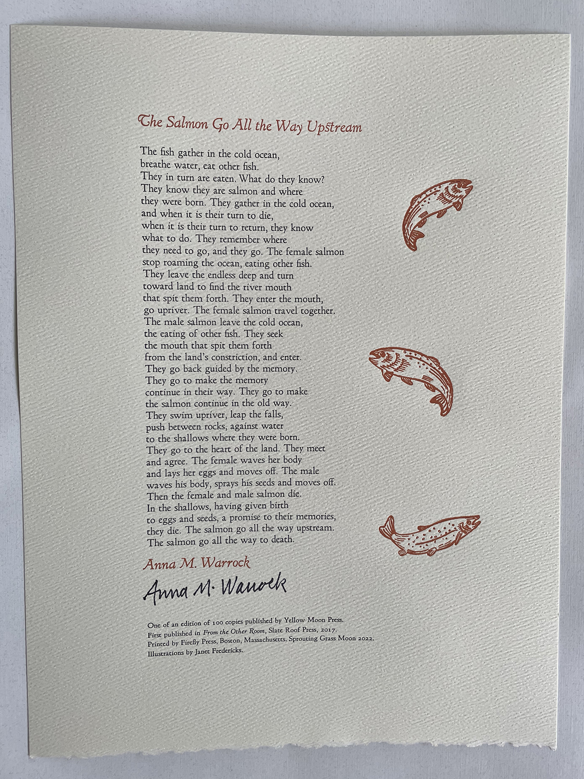 Salmon Broadside